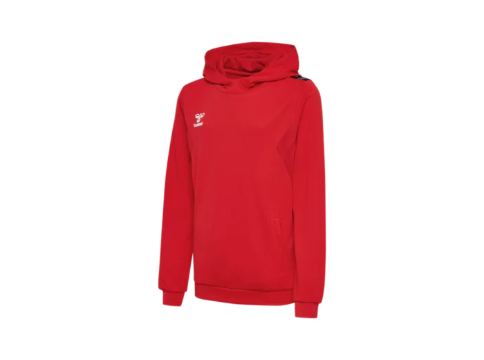 Hmlauthentic pl hoodie kids