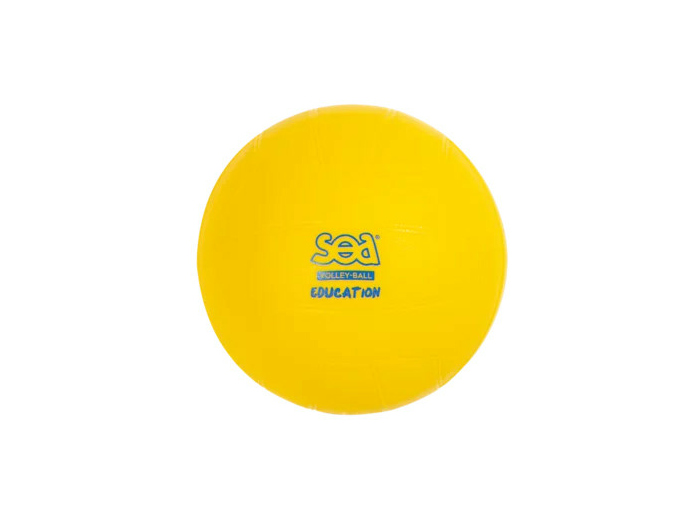 Ballon de volley initiation sea