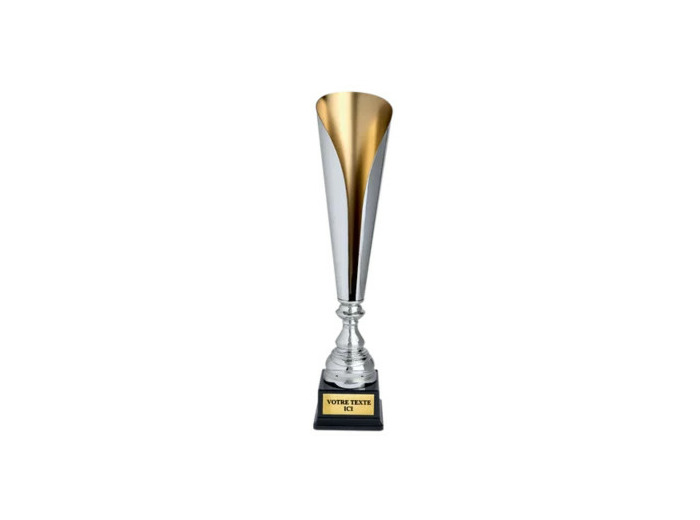 Coupe classique argent/or hauteur 5