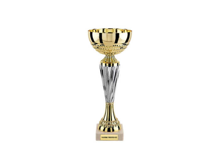 Coupe eco or/arg h 25 cm d 100 mm