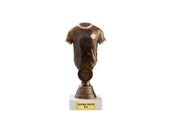 Petit trophee plastique bronze foot