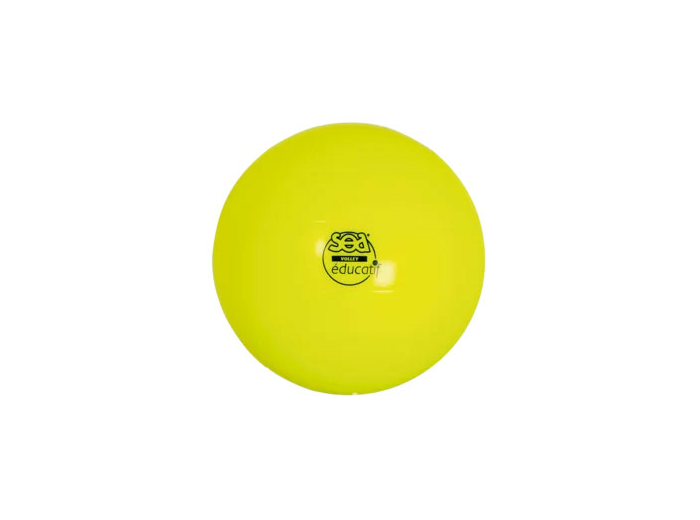 Ballon de volley educatif sea