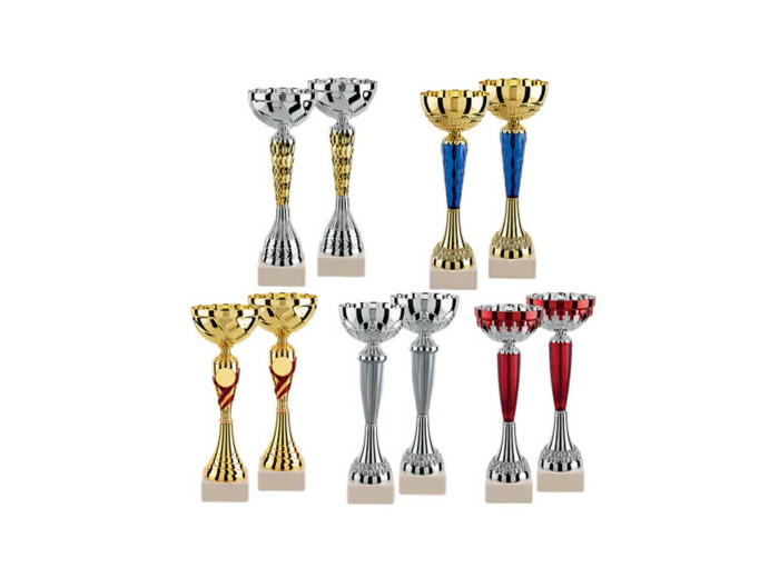Lot de 10 coupes 2023 h moy 28cm