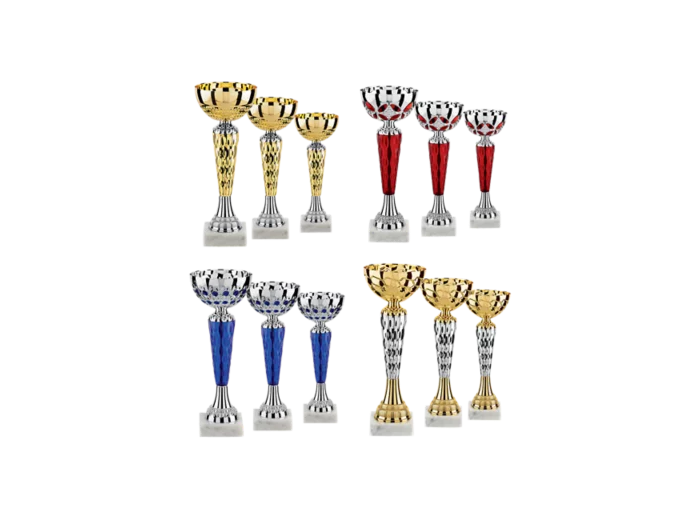 Lot de 12 coupes 2020 h. moy 21cm