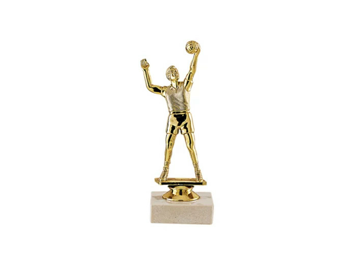 Trophee sujet plas or volley h 17cm
