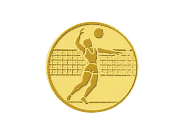 Pa 104 volley homme alu 50mm