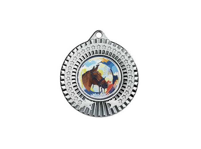Medaille fer diam45mm argent