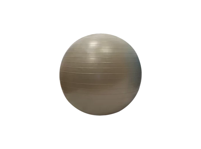 Gymball/balle gymnique 55cm