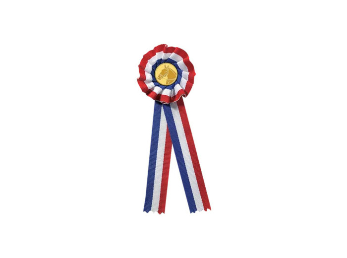 Rosette bleu/blanc/ro h.17cm-60mm