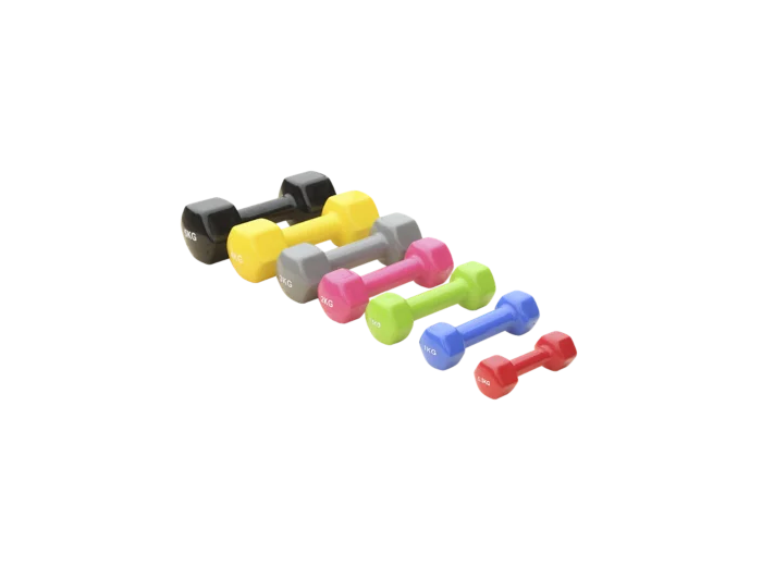 Paire d'halteres vinyle