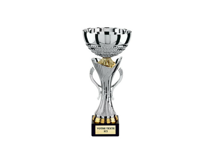 Coupe argent h.30cm bol diam140mm