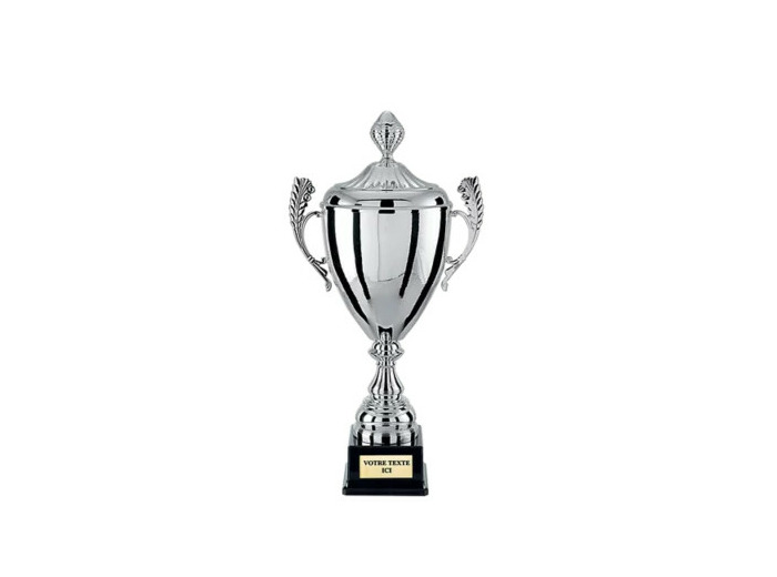 Coupe argt 53cm + couvercle bol
