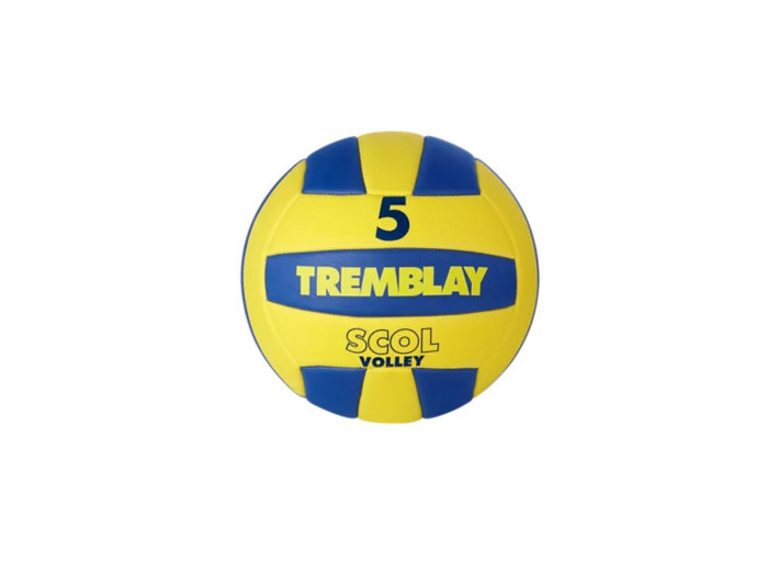 Ballon volley  scolaire taille 5