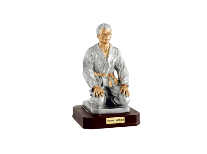 Trophee resine judo homme h.28 cm