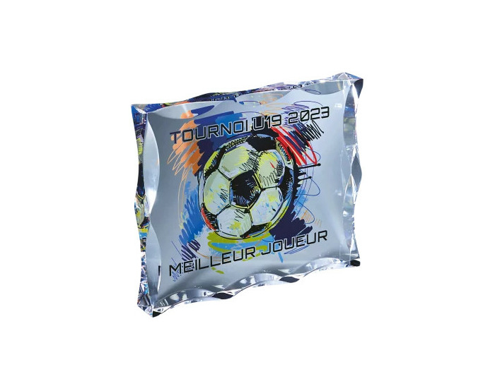 Trophee plexi epaiss 25mm h.18x15cm