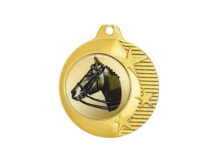 Medaille fer 40mm or