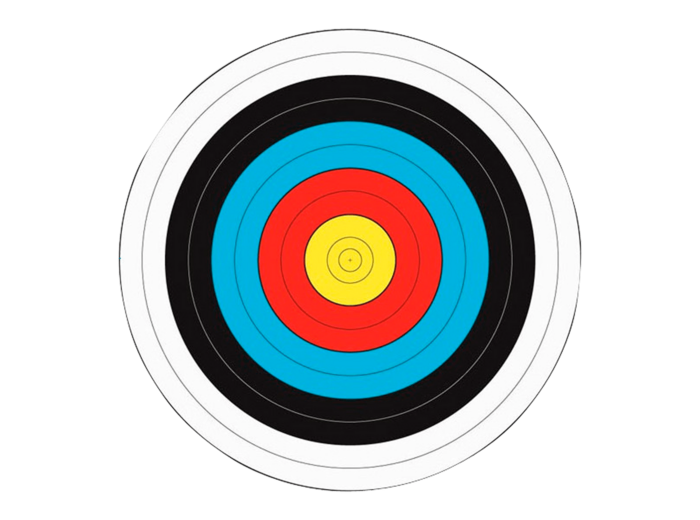 Lot de 12 blasons cibles 40 cm