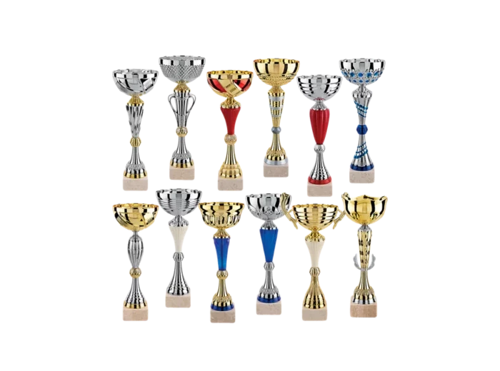 Lot de 12 coupes 2023 h moy 36,8cm