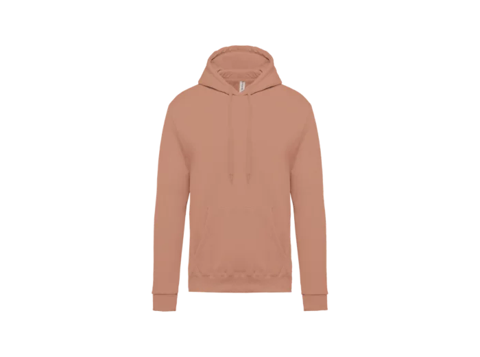 Sweatshirt capuche homme