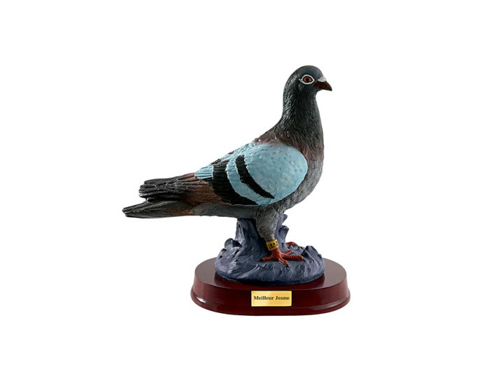 Resine pigeon h. 25 cm
