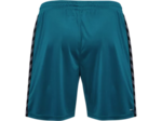 Hmlauthentic pl shorts