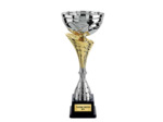 Coupe class arg/or h 40 cm d 180 mm