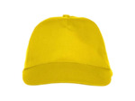 Texas bull cap