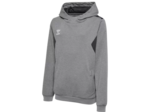 Hmlauthentic pl hoodie kids