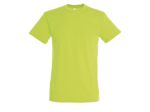 T-shirt regent junior