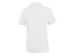 Lincoln polo
