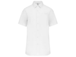 Chemise popeline manches courtes
