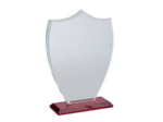 Trophee verre et bois personnalisab