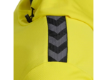 Hmlauthentic pl hoodie
