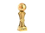 Trophee resine discipline or volley