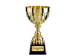 Coupe classique or h 30 cm d 160 mm