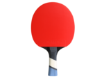 Raquette de ping pong perform 500