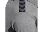 Hmlauthentic pl hoodie