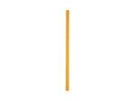 Frite de natation