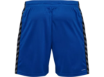 Hmlauthentic pl shorts