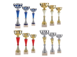 Lot de 12 coupes 2023 h moy 34,6cm