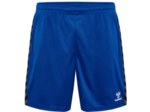 Hmlauthentic pl shorts