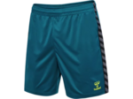 Hmlauthentic pl shorts