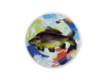 Cnb peche alu couleurs 25mm