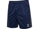 Hmlauthentic pl shorts
