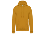 Sweatshirt capuche homme