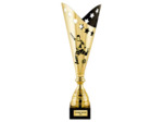Coupe discipline football or/noir(e