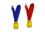 Indiaka initiation