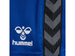 Hmlauthentic pl shorts