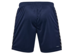 Hmlauthentic pl shorts