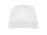 Texas bull cap